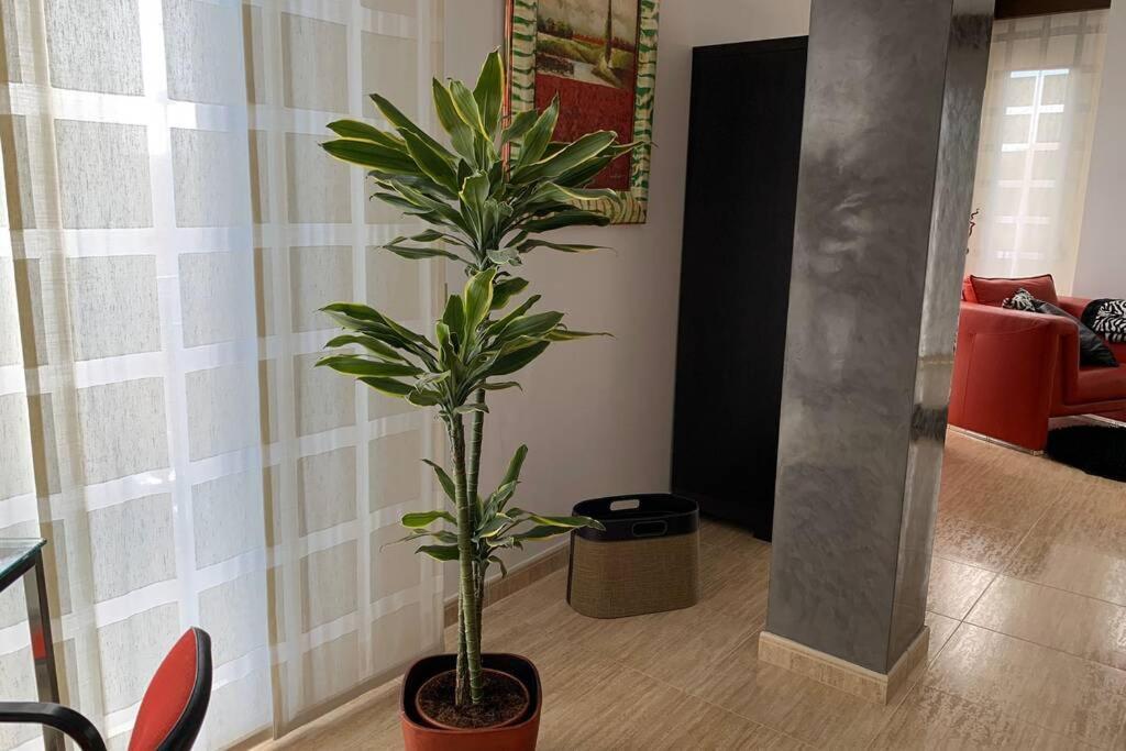 Apartamento Miramar . Amplitud Y Comodidad ألمازورا المظهر الخارجي الصورة