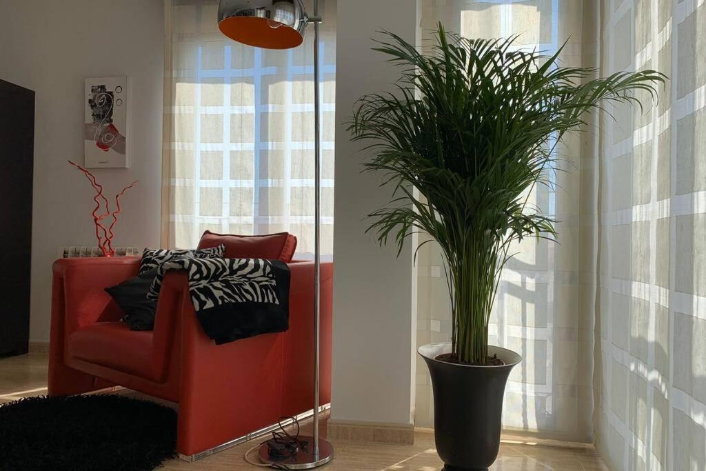 Apartamento Miramar . Amplitud Y Comodidad ألمازورا المظهر الخارجي الصورة